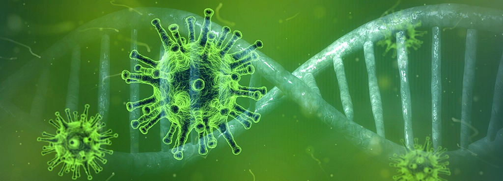 coronavirus-1024 stet