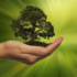 How can SMEs effectively measure sustainability?