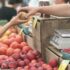 Consumer Sentiment Survey Q3 2023